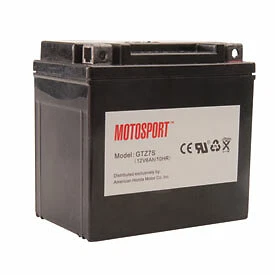 Motosport Maintenance-Free Battery with Acid Motosport Maintenance-Free Battery with Acid