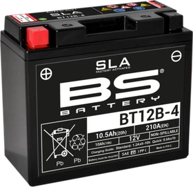 Bs Battery Sla Factory- Activated Agm Maintenance-Free Battery 300643