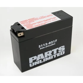 Parts Unlimited AGM Maintenance Free 12-Volt Battery - 2113-0217