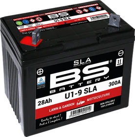 BS BATTERY Battery - U1-9 300901