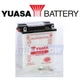 Yuasa YUAM2221Y Yumicron Battery for Electrical Batteries  dx