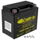 YTX12-BS AGM Battery for Honda 31500-Ha0-685, 31500-Ha0-686, 31500-Ha0-687
