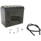 Yuasa - YUAM2H16C - Yumicron CX Battery, YB16HL-A-CX