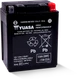 Yuasa YTX14AHL AGM Powersports Battery - Maintenance Free, For 12 Volt