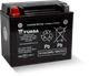 Yuasa Fits YTX12 Maintenance Free AGM 12-Volt Battery