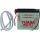 Yuasa Battery Conventional Battery 6N4B-2A-3 fits Yamaha/Kawasaki Yuasa Battery Conventional Battery 6N4B-2A-3 fits Yamaha/Kawasaki