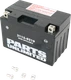 PARTS UNLIMITED AGM Battery - YT12A-BS CT12A-BS PARTS UNLIMITED AGM Battery - YT12A-BS CT12A-BS