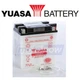 Yuasa YUAM221L2 Yumicron Battery for Electrical Batteries iw Yuasa YUAM221L2 Yumicron Battery for Electrical Batteries iw