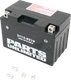 PARTS UNLIMITED AGM Battery - YT12A-BS CT12A-BS PARTS UNLIMITED AGM Battery - YT12A-BS CT12A-BS