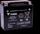 Yuasa YTX20L-BS Maintenance Free AGM 12-Volt Battery w/Bottle