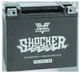 Twin Power Battery - YTX20-BS Motorcycle Street Bike 781153 twp781153 Twin Power Battery - YTX20-BS Motorcycle Street Bike 781153 twp781153