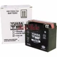Yuasa Maintenance Free Battery 2001-2008 Honda GL1800 Gold Wing Size: YTX20L-BS