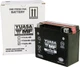 Yuasa High Performance AGM Battery YTX20L-BS YUAM320BS (PLT-120)
