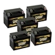 5 Pack - YTX4L-BS SLA Battery for ATV, Honda CRF230F