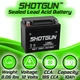 Shotgun Sealed AGM MF Replacement Battery For Kymco Mongoose 300, YTX12-BS