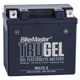 Bikemaster TruGel Battery Husaberg FX 250 (2004 - 2012) Bikemaster TruGel Battery Husaberg FX 250 (2004 - 2012)