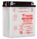Yuasa Battery YUAM2221Y YSA Yumicron Battery