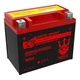 KAWASAKI ZR-7, S 2000-2005 YTX12-BS  (MF) Battery by Neptune