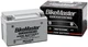 BikeMaster HB12A-A-FA AGM Platinum II Battery