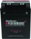 BikeMaster 781307 BikeMaster Battery - BTX14AHL-BS