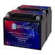 Mighty Max YTX12-BS 12V, 10Ah, Replaces Kawasaki KVF300 Brute Force 24 - 2 Pack