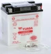 Yuasa Yumicron Battery YB10L-B2 YUAM221L2 Yuasa Yumicron Battery YB10L-B2 YUAM221L2